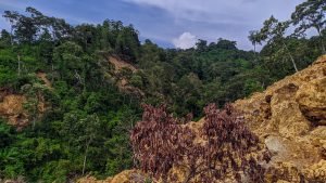Linor: Amuk Gempa di Majene
