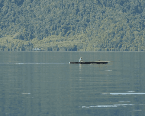 Hidup di Tengah Gempuran Tambang Nikel: Cerita Nelayan Luwu Timur ‘Terciprat’ Limbah
