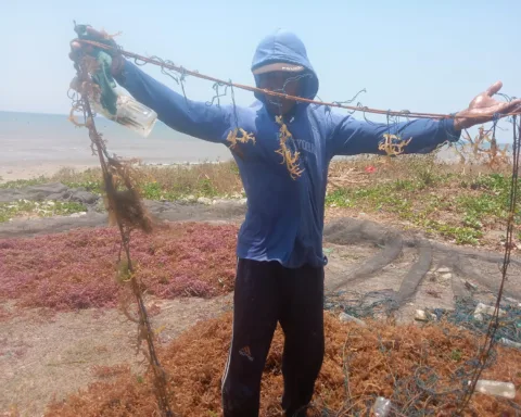 Suhu Laut Memanas, Petani Rumput Laut Bantaeng Merugi/Suardi B/Bollo.id