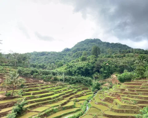 Salah satu sudut kawasan bentang alam karst/Emi Sulfiana/Bollo.id