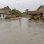 Potret banjir di desa Pombakka, Kecamatan Malangke Barat Luwu Utara/Dokumentasi Warga