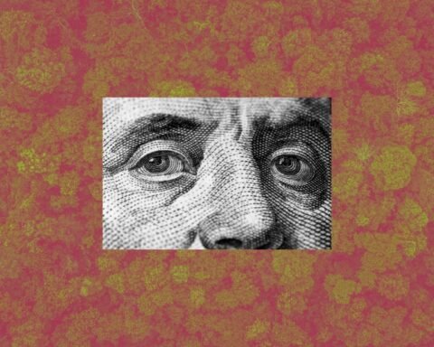 Ilustrasi: Di Balik Bantuan Dana Lingkungan/Bollo.id