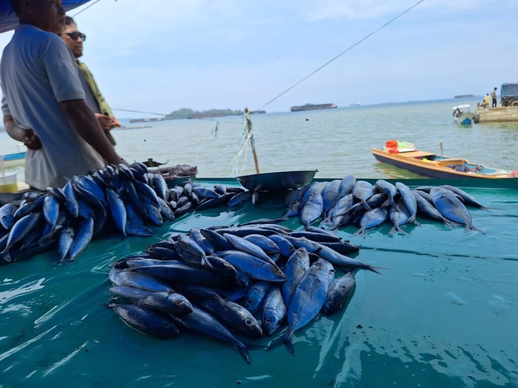 Aktivitas pasar di Desa Bete-bete, Kecamatan Bungku Selatan, Morowali, Sulteng/Muh Aidil/Bollo.id
