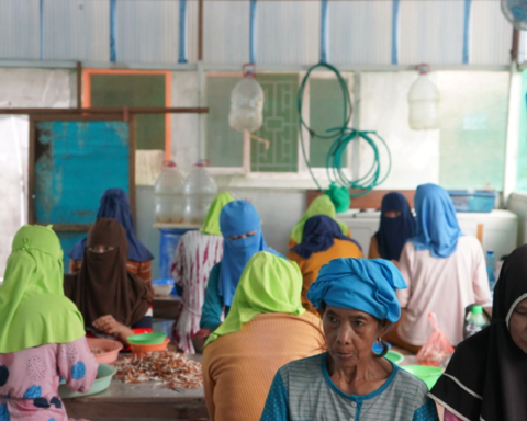 Suasana ruang kerja rumah pengupasan rajungan. Foto: M Rizaldi
