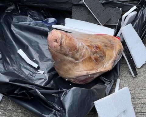 Kepala Babi yang dikirim untuk Tempo/Foto: Tempo