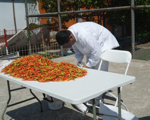 Seri Performance Proyek Kota dalam Teater: Paksa Pasrah oleh Sabri Sahafuddin
