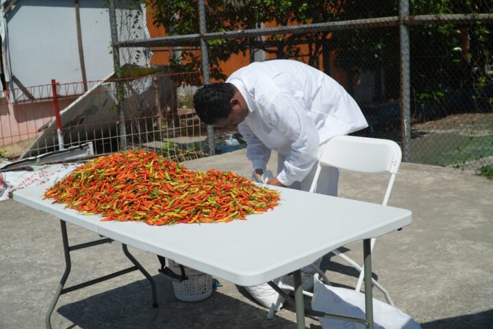 Seri Performance Proyek Kota dalam Teater: Paksa Pasrah oleh Sabri Sahafuddin