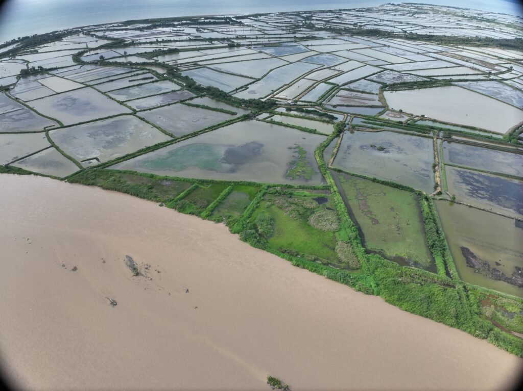 Potret tambak warga yang terdampak penambangan pasir di muara Sungai Saddang, Kabupaten Pinrang/Foto: KPA Sulsel