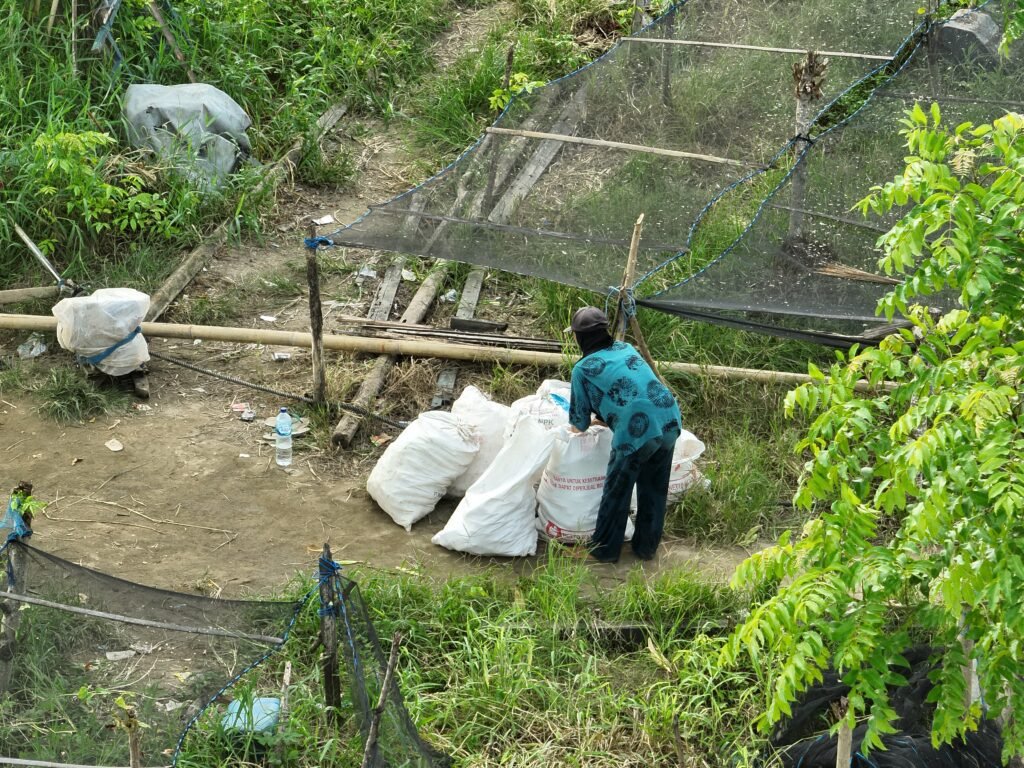 Warga baraktivitas di kebun mereka di tengah ancaman dampak tambang pasir di muara Sungai Saddang, Kabupaten Pinrang/Foto: KPA Sulsel