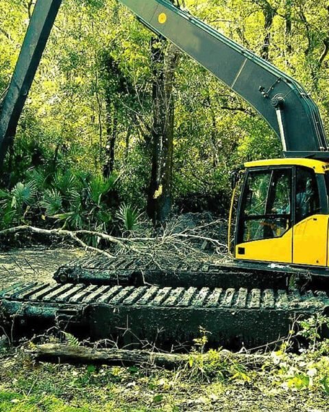 Ilustrasi ekskavator beraktivitas di hutan/Foto: wetlandequipment.com