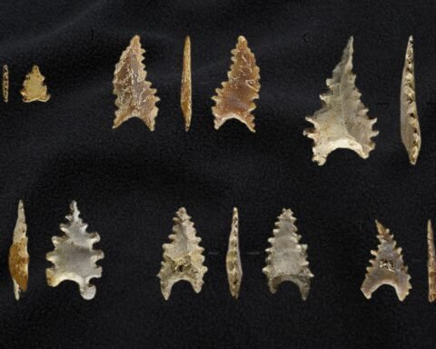 Pemindahan artefak daerah dari balai arkeologi yang ada di berbagai daerah ke Badan Riset dan Inovasi Nasional (BRIN) pusat menjadi polemik. Mobilisasi itu dinilai sentralistik/Ilustrasi: Bollo.id