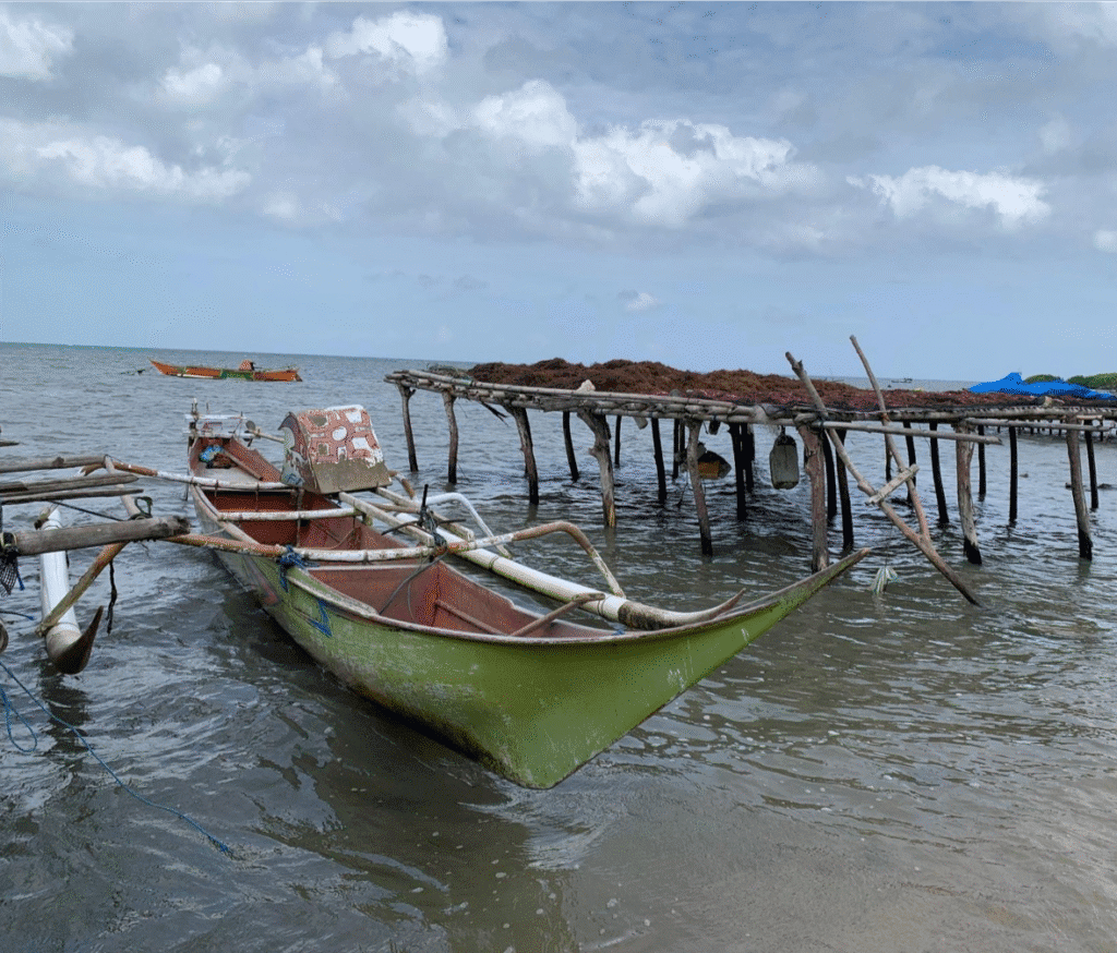 Perahu nelayan dan rumput laut yang dikeringkan di Desa Laikang/ Sumber Foto: TII-Laporan Suara Warga atas Pembangunan Kawasan Industri Takalar