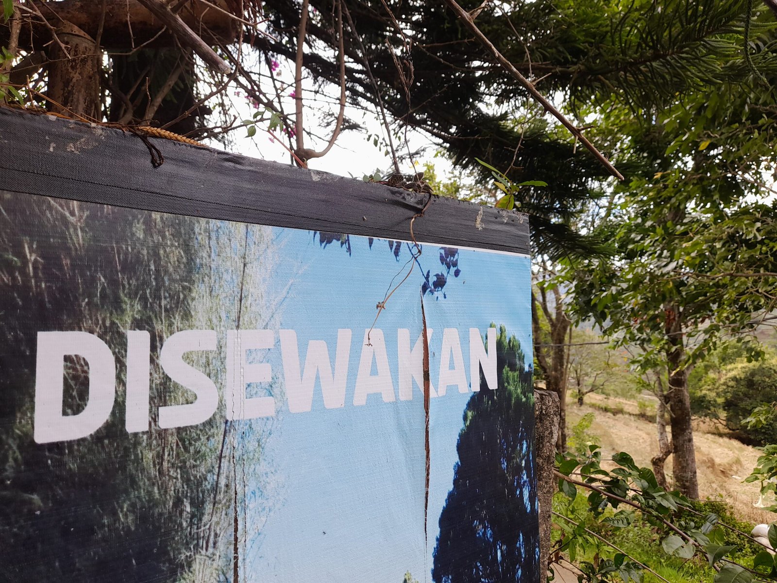 Papan informasi vila disewakan di lingkungan Batulapisi Dalam, Malino/Andi Audia Faiza Nazli Irfan/Bollo.id