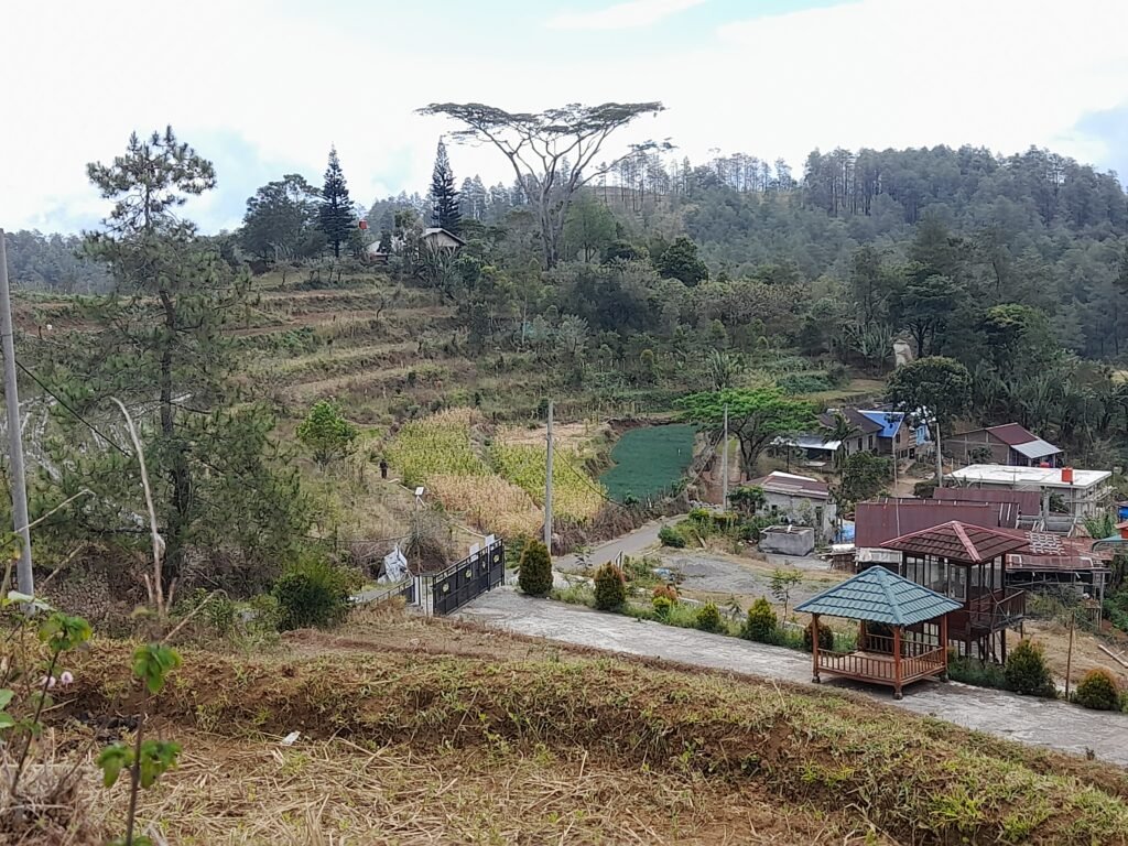 Vila berdampingan dengan lahan produktif di lingkungan Batulapisi Dalam, Malino/Foto: Andi Audia Faiza Nazli Irfan/Bollo.id