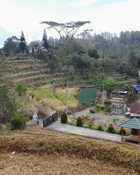 Vila berdampingan dengan lahan produktif di lingkungan Batulapisi Dalam, Malino/Foto: Andi Audia Faiza Nazli Irfan/Bollo.id
