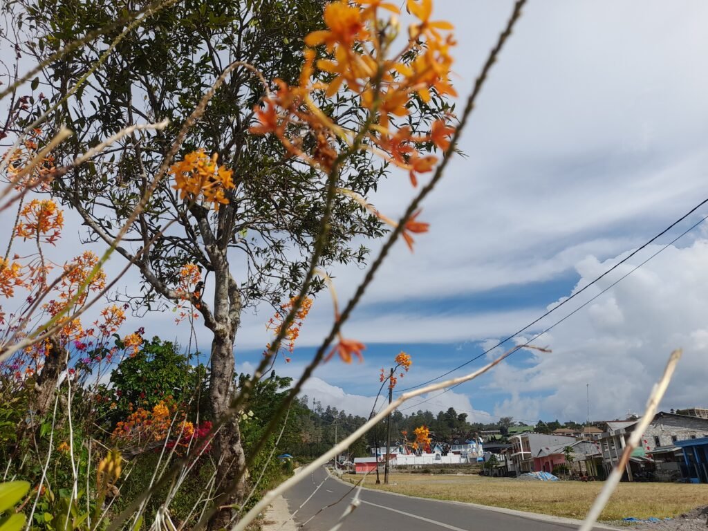 Vila di lingkungan Batulapisi Dalam, Malino/Foto: Andi Audia Faiza Nazli Irfan/Bollo.id