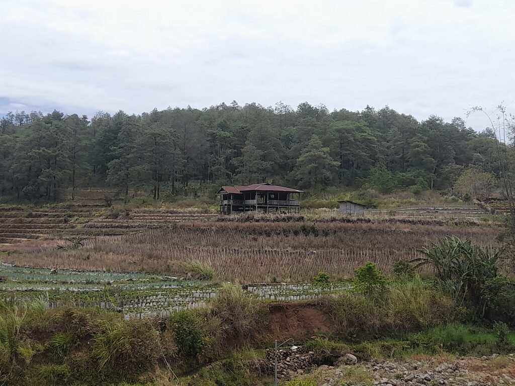 Baruga, sekitar 2,5 km dari tugu Batulapisi, Malino/Foto: Andi Audia Faiza Nazli Irfan/Bollo.id
