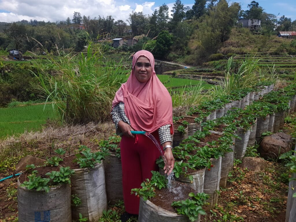 Saridah menyirami stroberinya/Foto: Andi Audia Faiza Nazli Irfan/Bollo.id