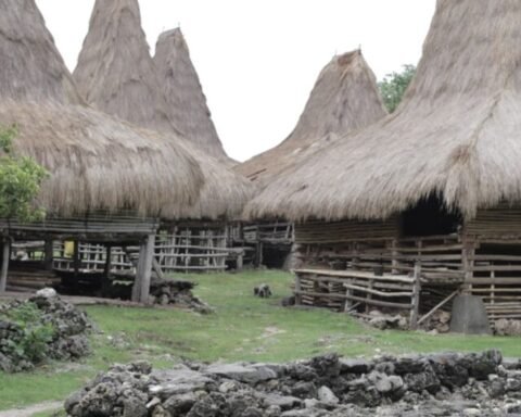 Adaptasi tradisional masyarakat Kodi sangat bergantung pada ritme ini; air hujan adalah sumber utama selama Musim Hujan bagi sebagian besar penduduk/Foto: Mongabay.co.id