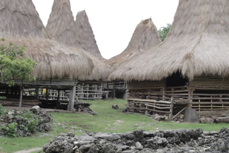 Adaptasi tradisional masyarakat Kodi sangat bergantung pada ritme ini; air hujan adalah sumber utama selama Musim Hujan bagi sebagian besar penduduk/Foto: Mongabay.co.id