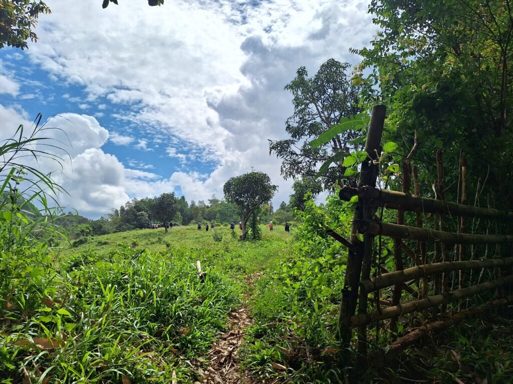 Lahan kosong milik kepala desa di Dusun Jambua/Foto: Muh Aidil/Bollo.id
