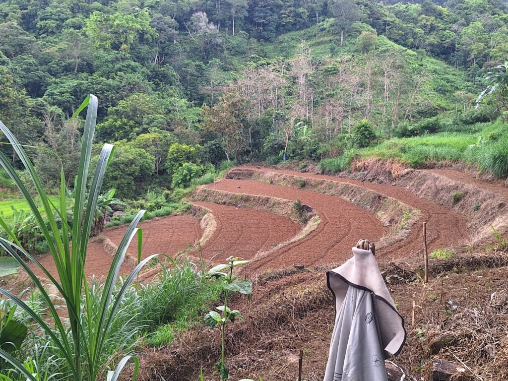 Lahan milik warga yang bersebelahan langsung dengan kawasan hutan di Dusun Jambua/Foto: Muh Aidil/Bollo.id