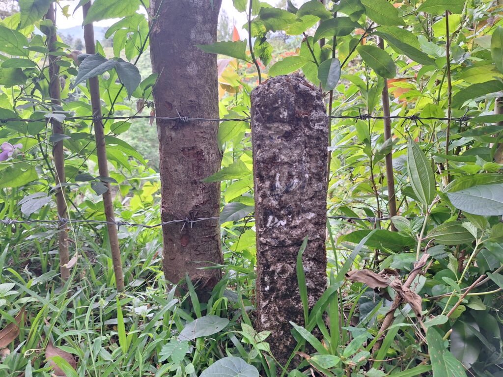 Tapal batas dan kawat berduri kawasan hutan/Muh Aidil/Bollo.id