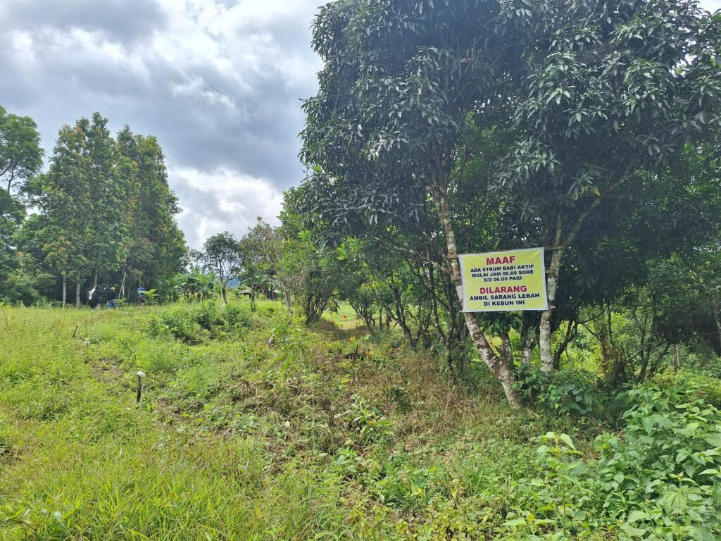 Salah satu kebun warga di Jambua dipasangi kawat beraliran listrik untuk mencegah babi masuk kebun/Muh. Aidil/Bollo.id