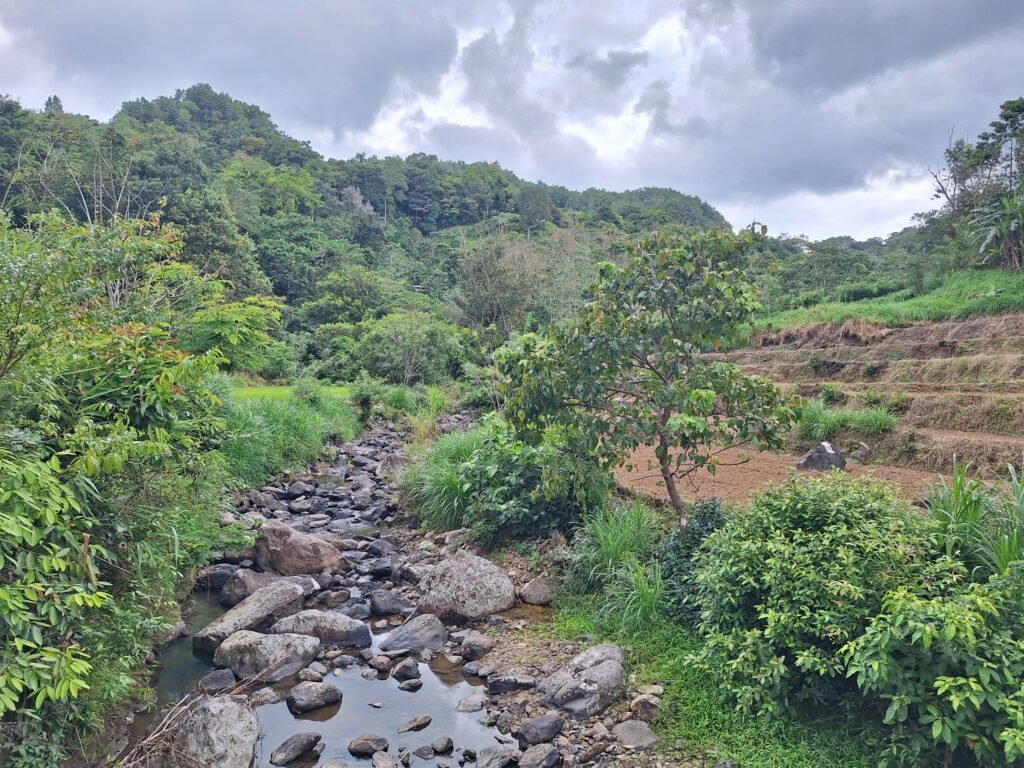 Salah satu sungai di Dusun Jambua tampak mulai mengering/Muh. Aidil/Bollo.id