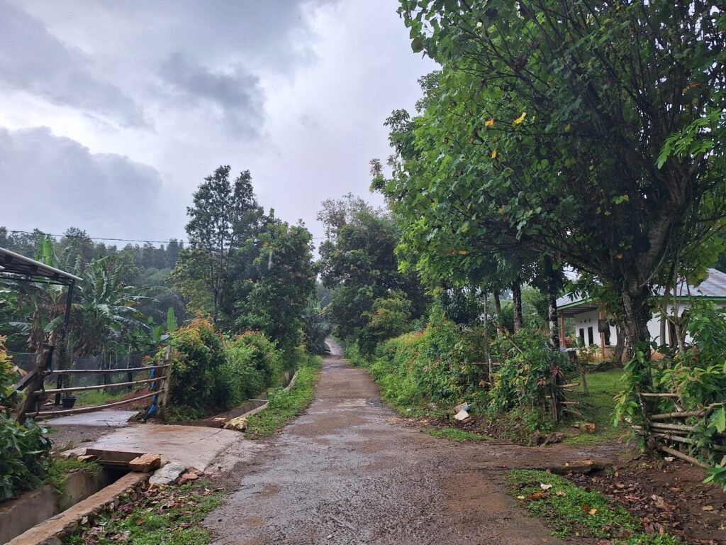 Suasana kampung di Dusun Jambua tampak sepi. Tak ada warga yang beraktivitas/Foto: Muh Aidil/Bollo.id