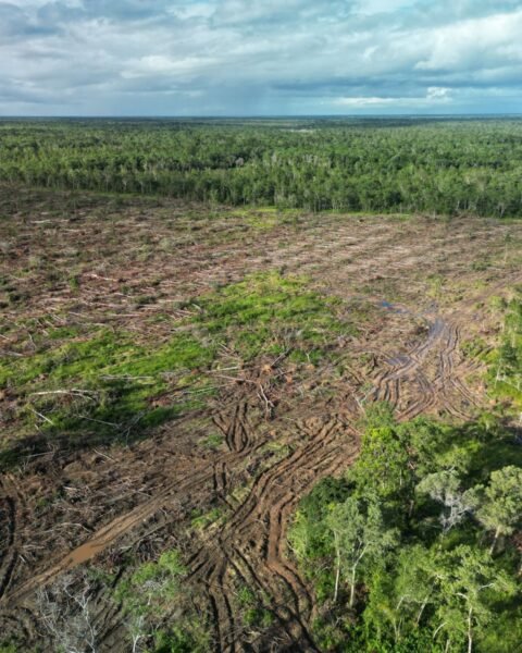 PSN Merauke/Dok: YLBHI