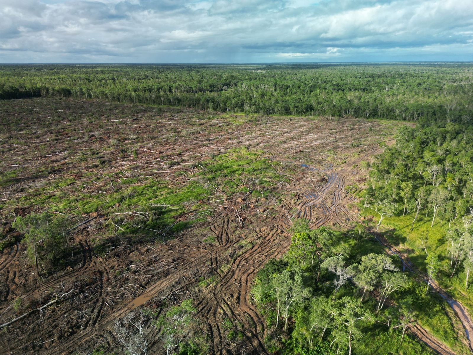 PSN Merauke/Dok: YLBHI