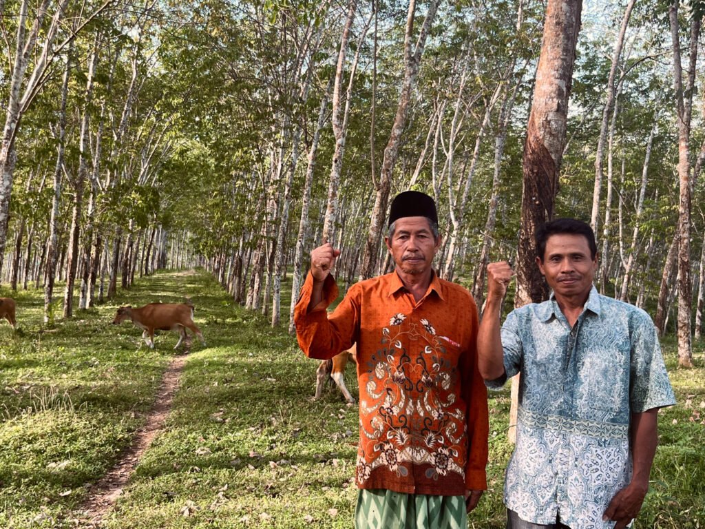 Baba bersama Amiruddin berada di perkebunan karet milik PT. Lonsum yang masa HGU-nya telah habis/Foto: Arya Nur Prianugraha untuk Bollo.id