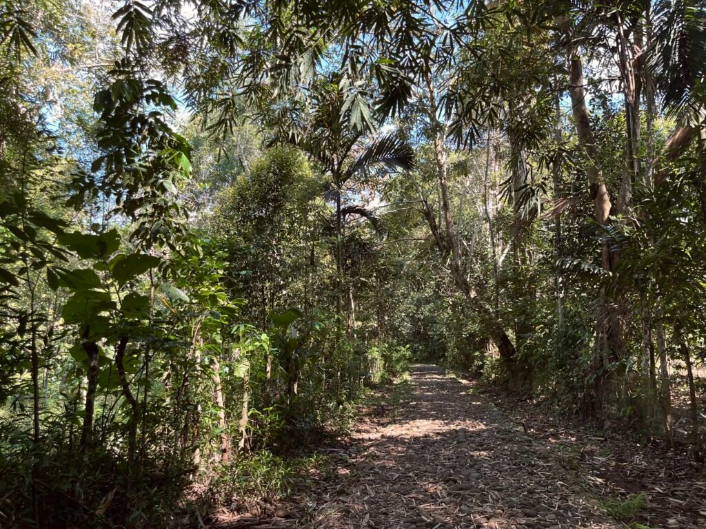Potret setapak di kawasan adat inti Rambang Seppang, Kajang/Foto: Muh Aidil/Bollo.id