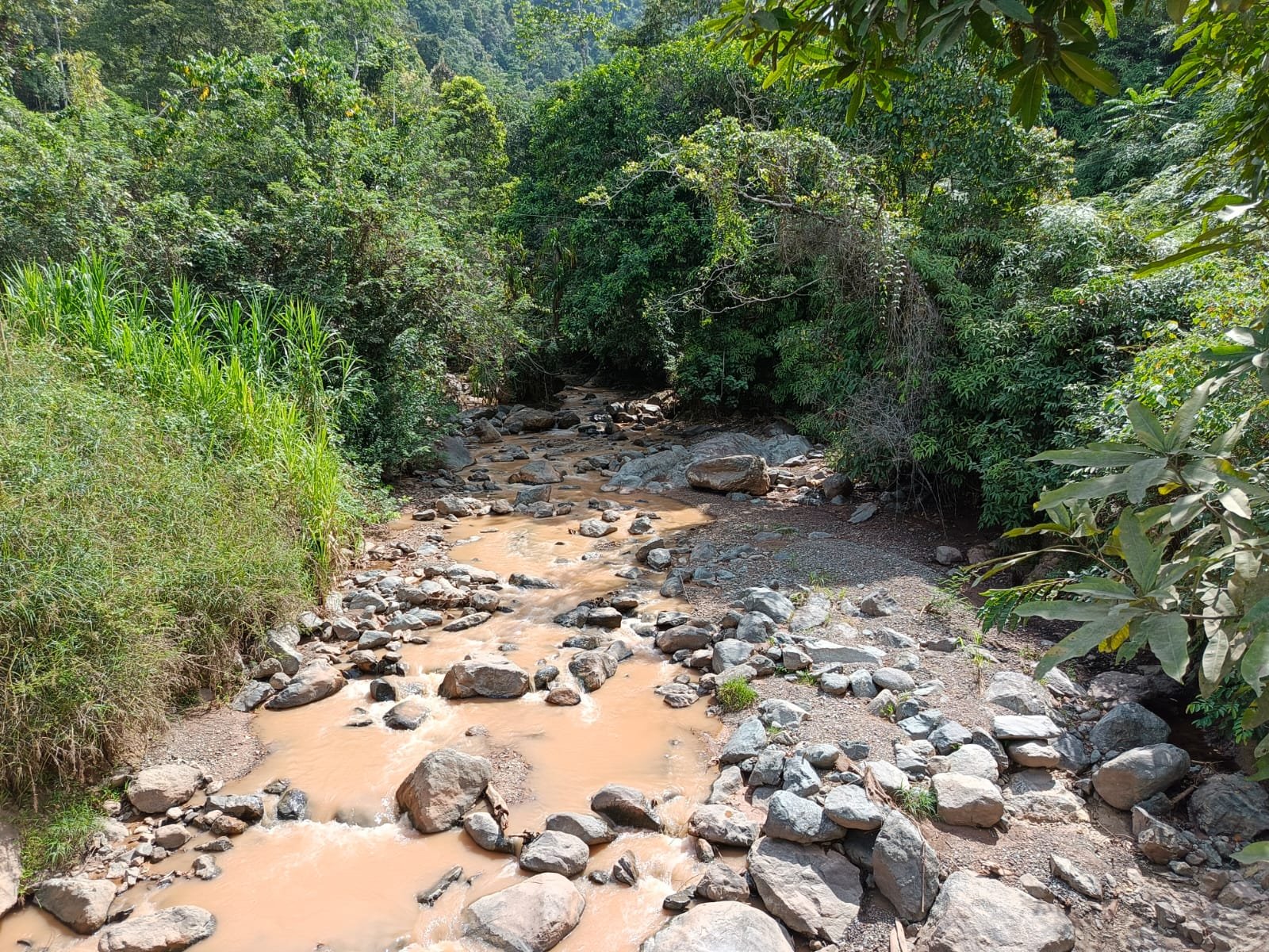 Potret aliran sungai Tuara keruh akibat aktivitas pertambangan perusahaan Masmindo/Foto: Eko Rusdianto/Bollo.id