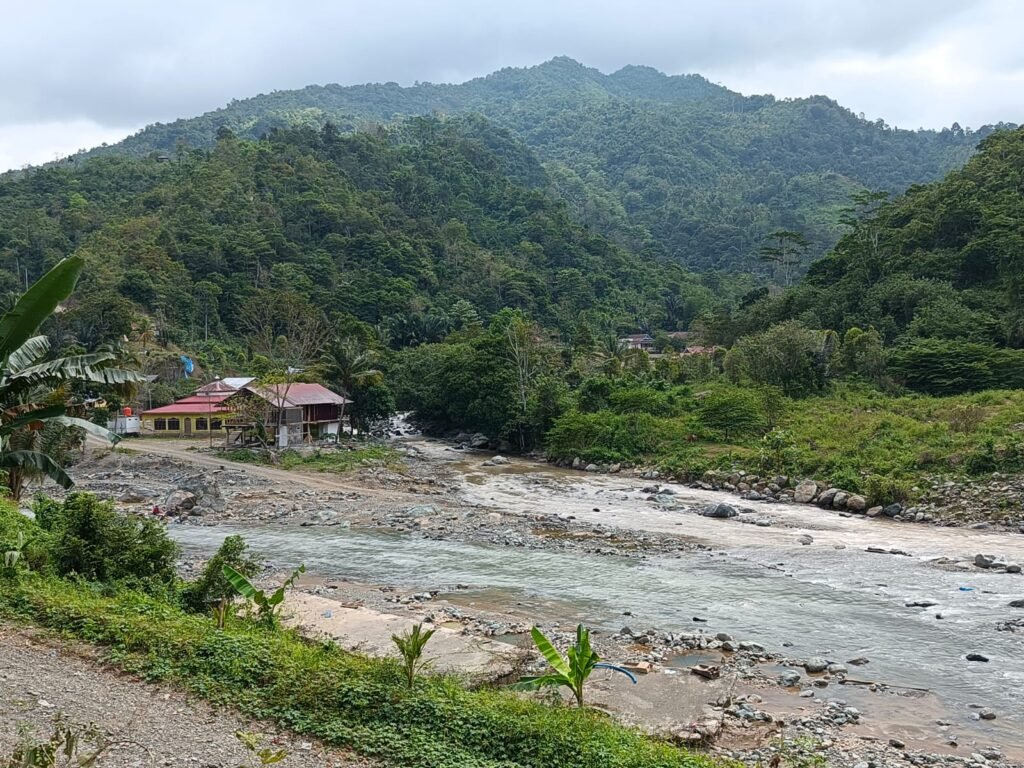Potret DAS Suso, tempat bertemunya dua aliran sungai. Aliran kanan dari sungai Tuara nampak keruh akibat aktivitas pertambangan perusahaan Masmindo. Sementara sisi kiri aliran dari kampung Ulu Salu nampak lebih jernih/Foto: Eko Rusdianto/Bollo.id