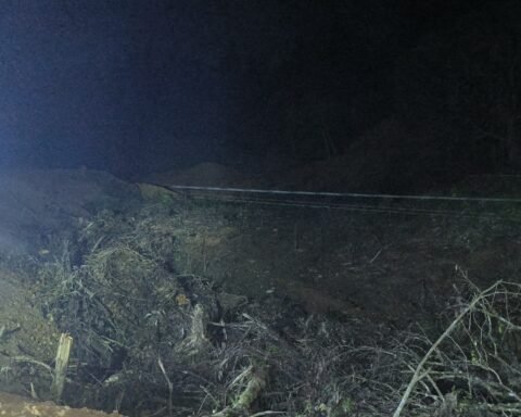 Aktivitas penggundulan hutan lindung di Tombolo Pao/Dok: Istimewa