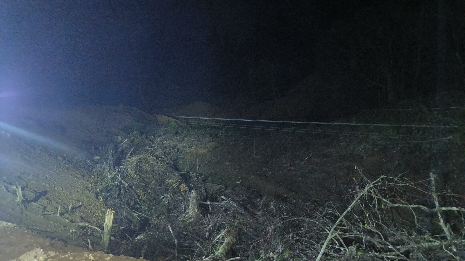 Aktivitas penggundulan hutan lindung di Tombolo Pao/Dok: Istimewa