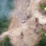 Ilustrasi deforestasi/Foto: Pixabay