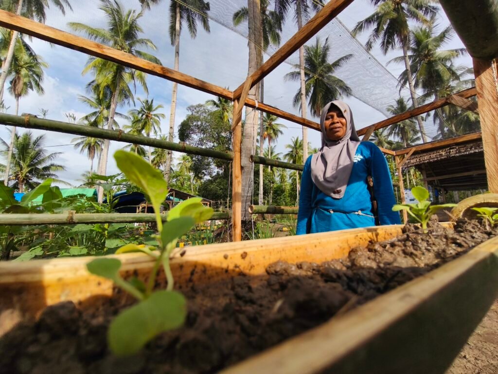 Wa Ode Sitti Murni berdiri di antara bedeng sayuran di pekarangan rumahnya di Desa Baluara, Kabupaten Muna, Sulawesi Tenggara. Pekarangan itu menjadi pusat pertanian terintegrasi yang ia kelola bersama kelompoknya. Foto: Alwy Fauzi/Bollo.id