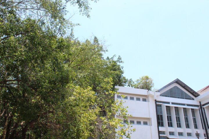 Ilustrasi foto/Andi Audia Faiza Nazli Irfan