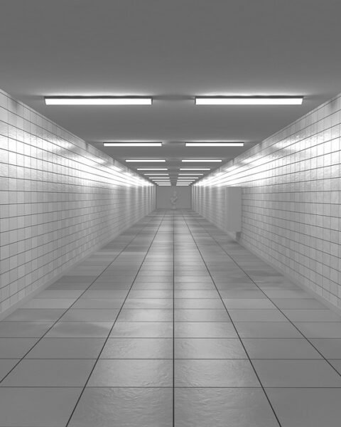 Foto Ilustrasi/pixabay