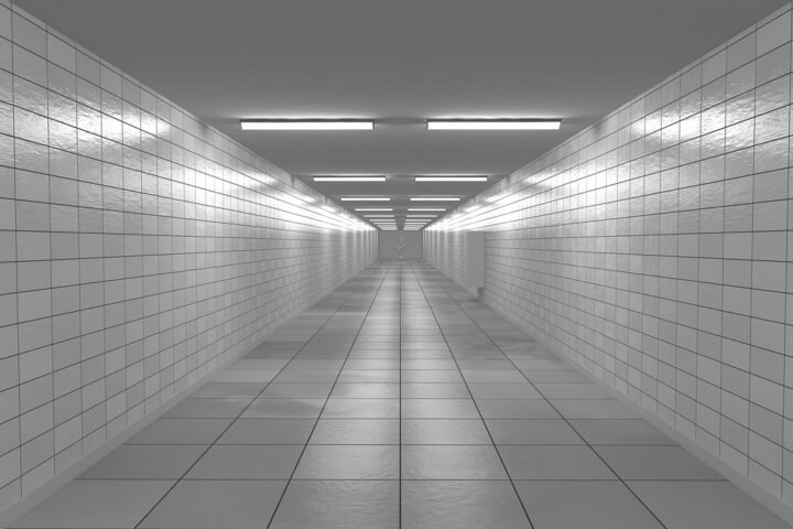 Foto Ilustrasi/pixabay