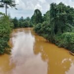 Ekspansi tambang nikel membuat air sungai di Halmahera Tengah, terutama di Weda Tengah, menjadi keruh, 11 November 2025. Foto: Djul Fikram (Fiki) untuk Bollo.id