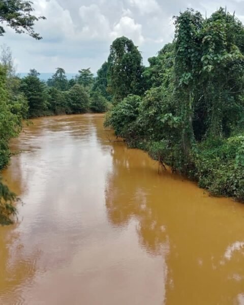Ekspansi tambang nikel membuat air sungai di Halmahera Tengah, terutama di Weda Tengah, menjadi keruh, 11 November 2025. Foto: Djul Fikram (Fiki) untuk Bollo.id