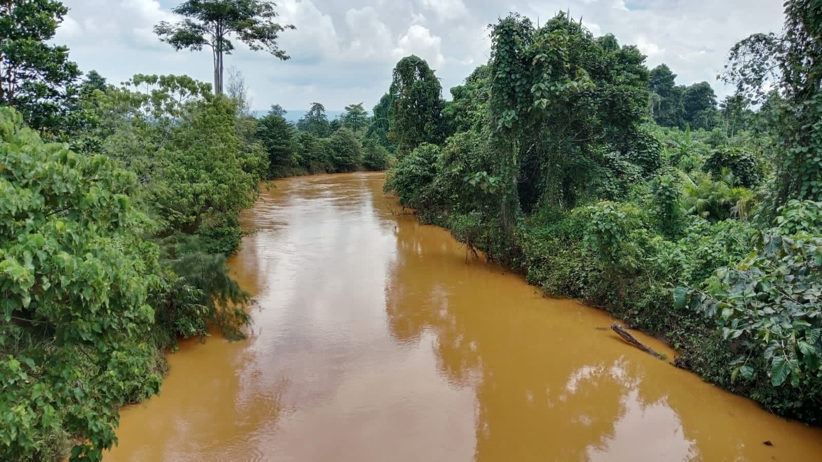 Ekspansi tambang nikel membuat air sungai di Halmahera Tengah, terutama di Weda Tengah, menjadi keruh, 11 November 2025. Foto: Djul Fikram (Fiki) untuk Bollo.id